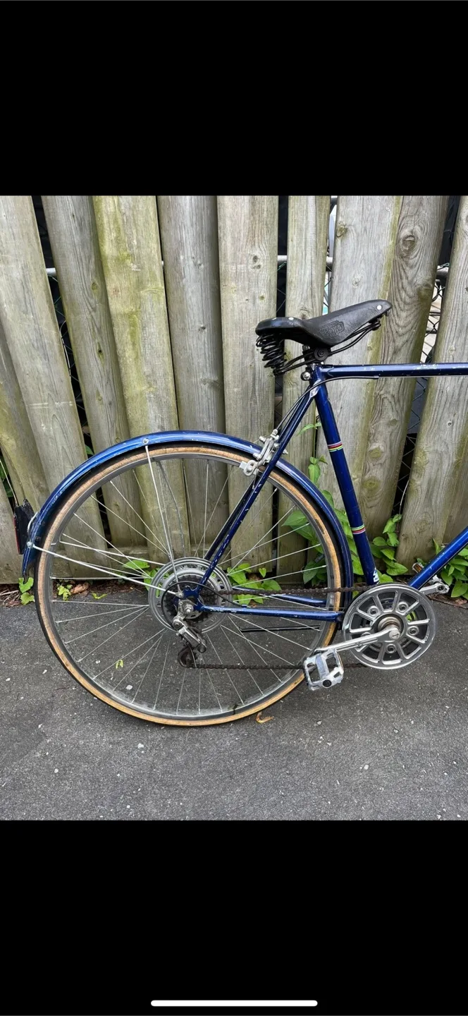 Panasonic Blue Tourist Antique Bicycle image indicator(3)