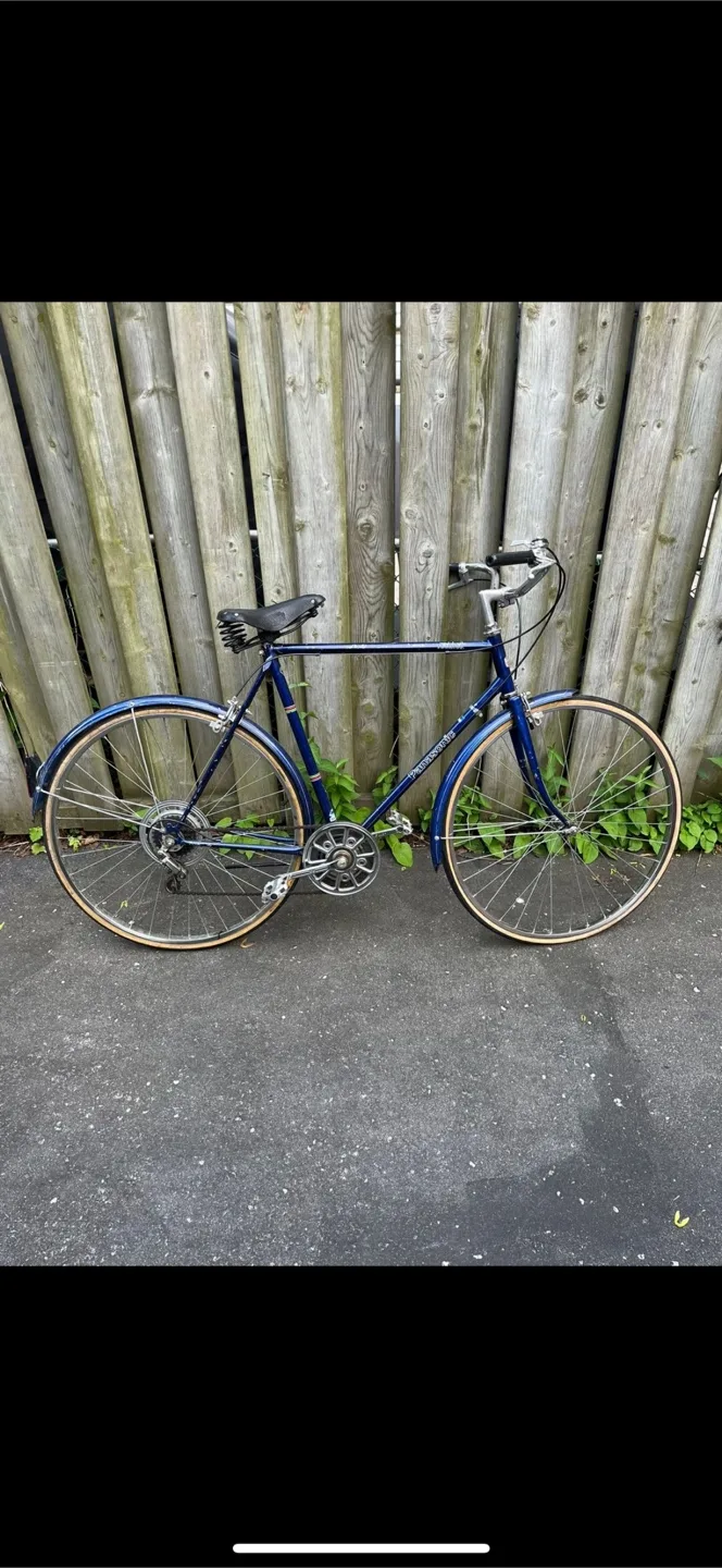 Panasonic Blue Tourist Bicycle thumbnail