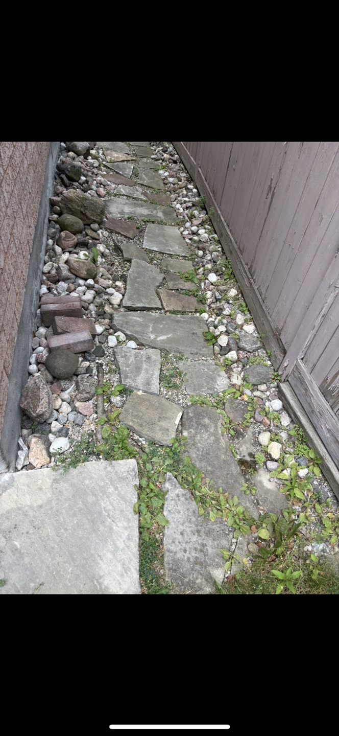 Rustic Flagstone Pieces - various sizes * $1.00 per stone
