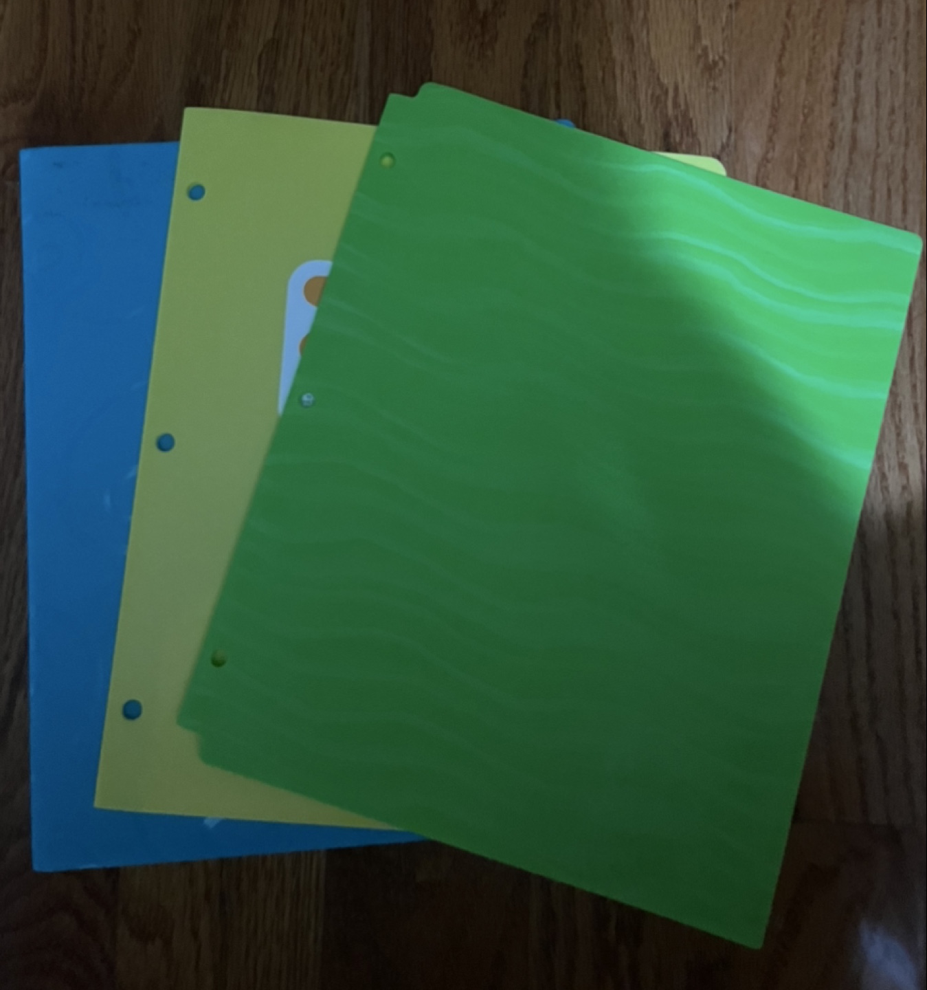 🥕3 Plastic Folders