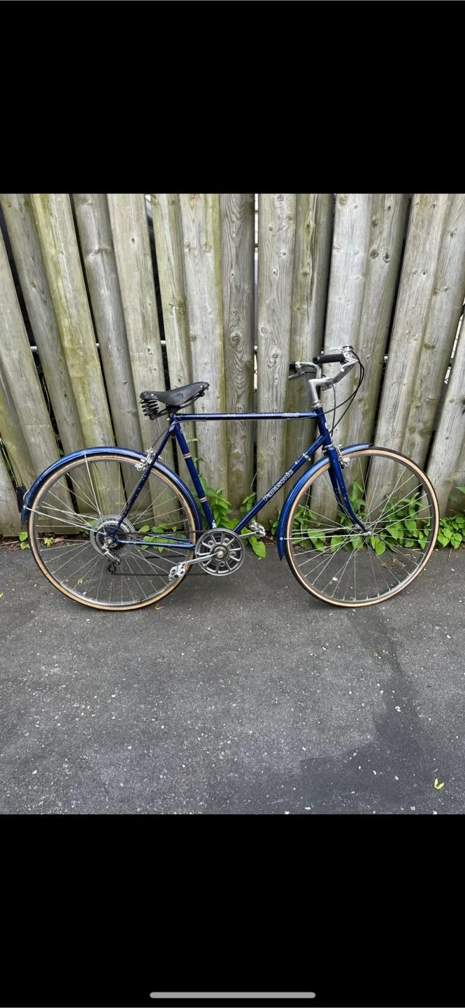Panasonic Blue Tourist Bicycle thumbnail