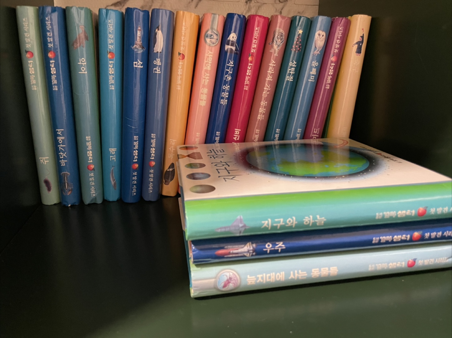 꼬마 샘터 첫 발견 시리즈