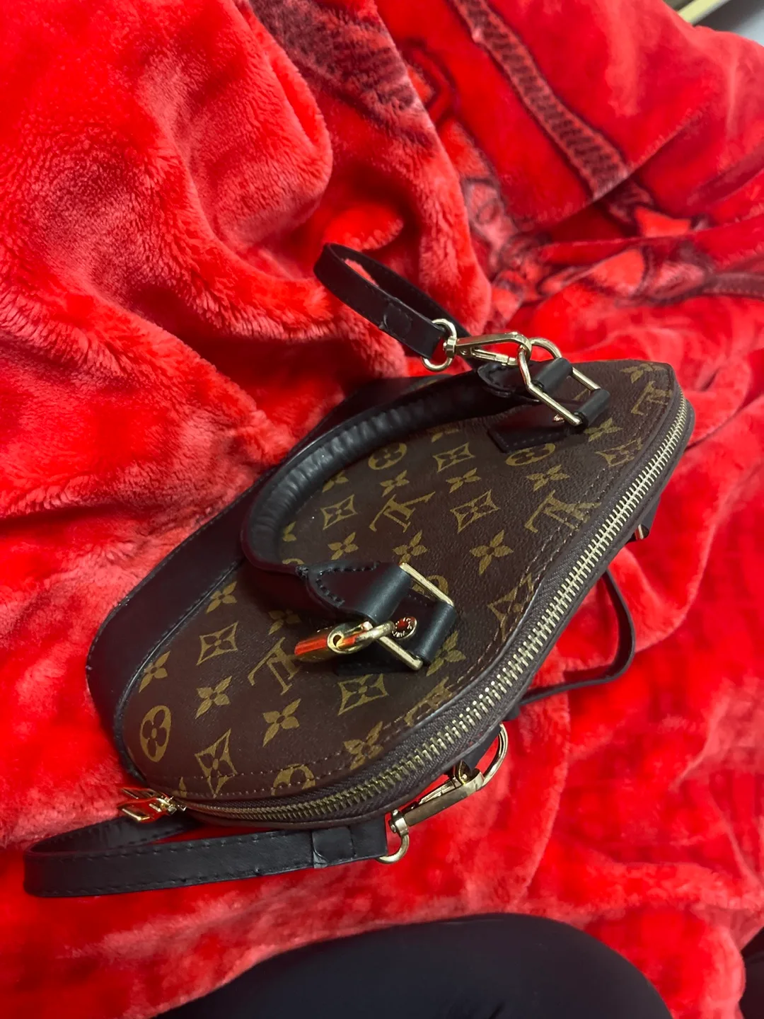 Louis Vuitton Alma Handbag image indicator(2)