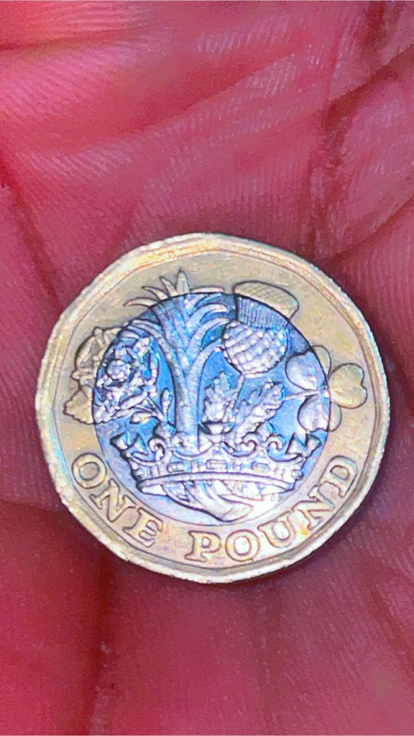2017 United Kingdom One Pound Coin, Queen Elizabeth II thumbnail