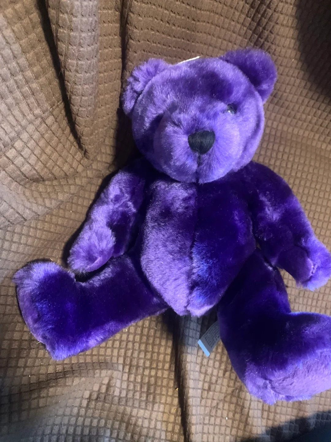 Velvete Purple Teddy Bear