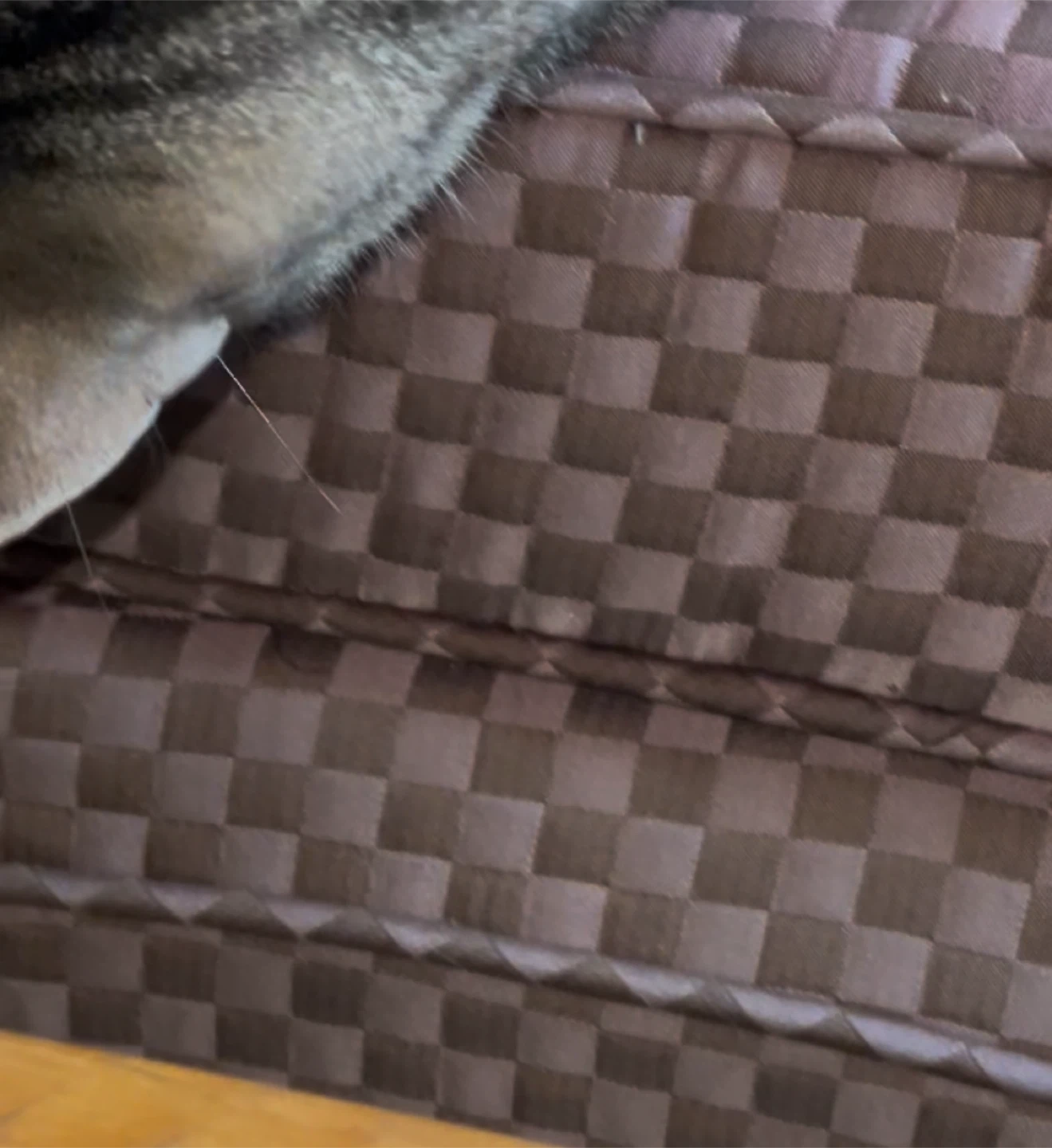 Free Lavender checkered loveseat