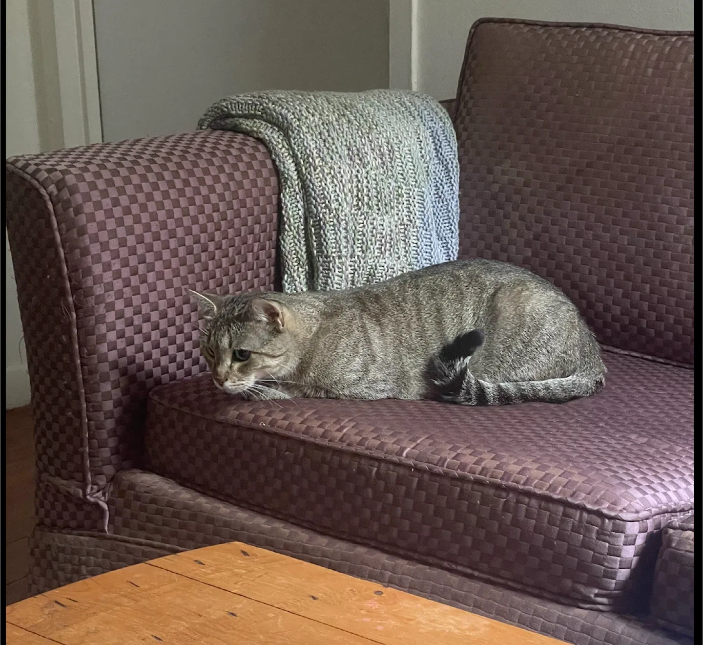 Free Lavender checkered loveseat image indicator(3)