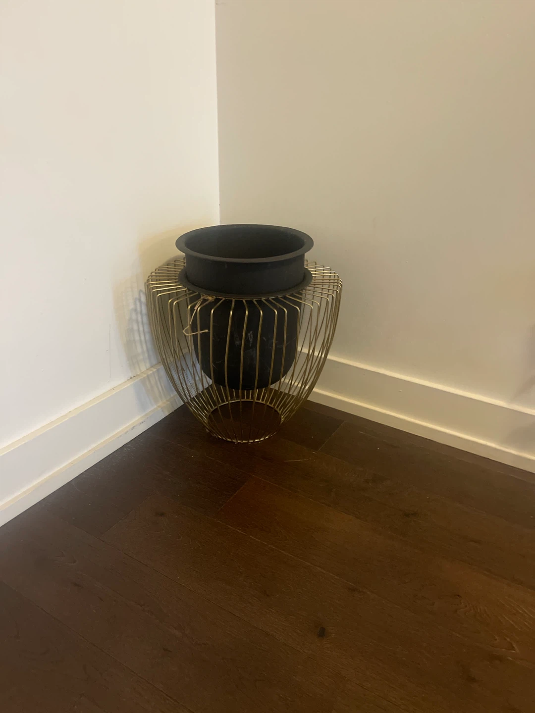 Gold Wire Plant Stand with Black Pot