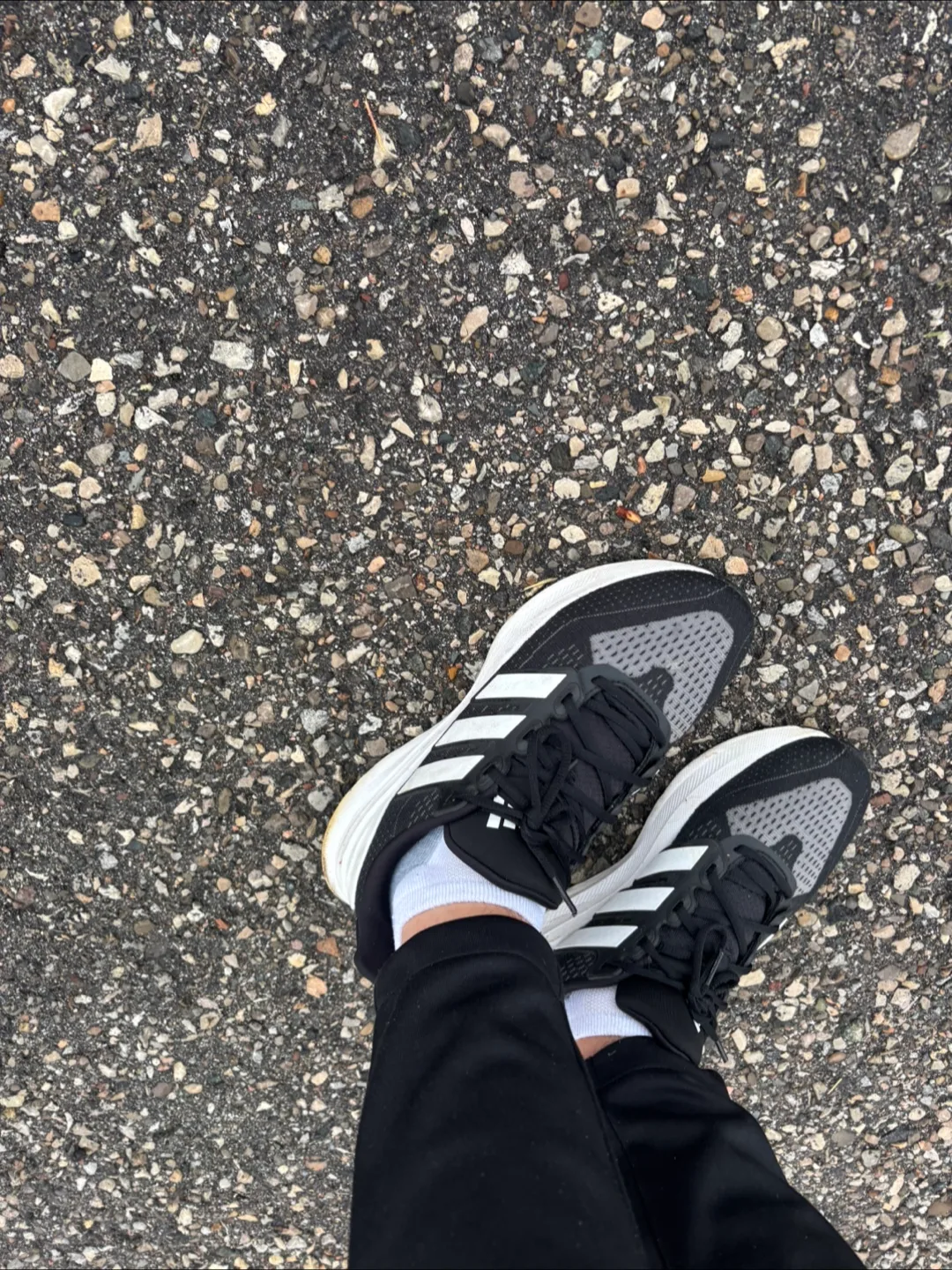 Adidas Running Shoes - Black & White image indicator(8)