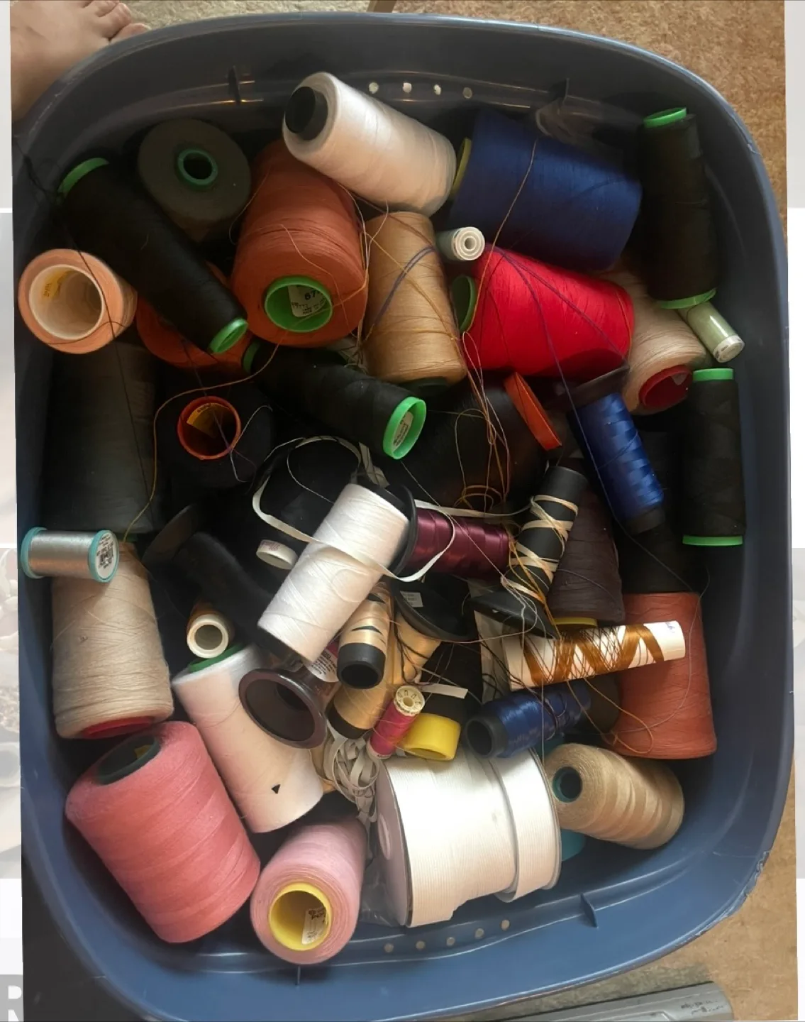 Sewing Thread in Various Colours & Gold Chain Lot image indicator(3)