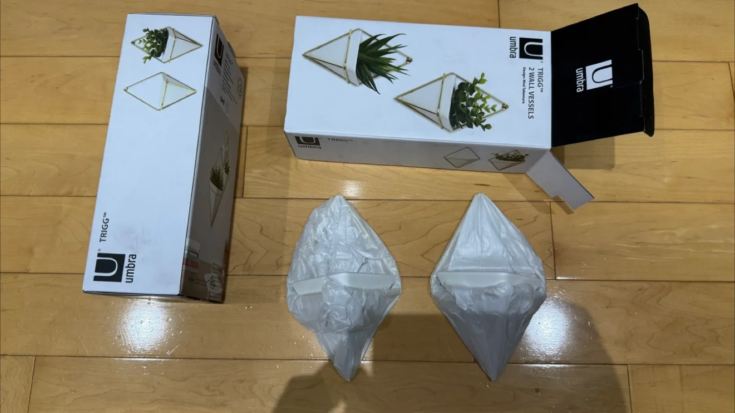 Umbra Trigg Wall Vessels (Set of 2 per box) image indicator(3)