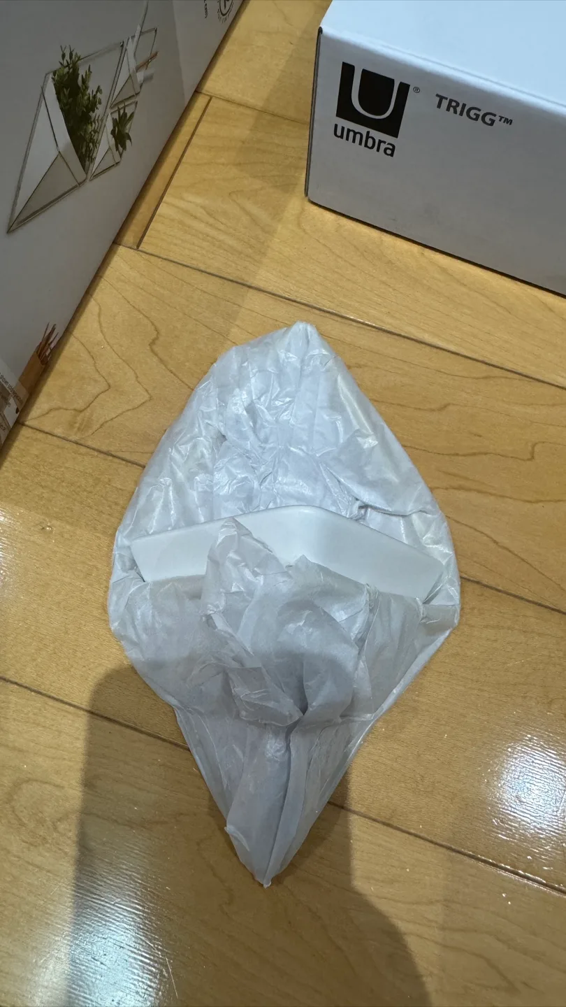 Umbra Trigg Wall Vessels (Set of 2 per box) image indicator(5)