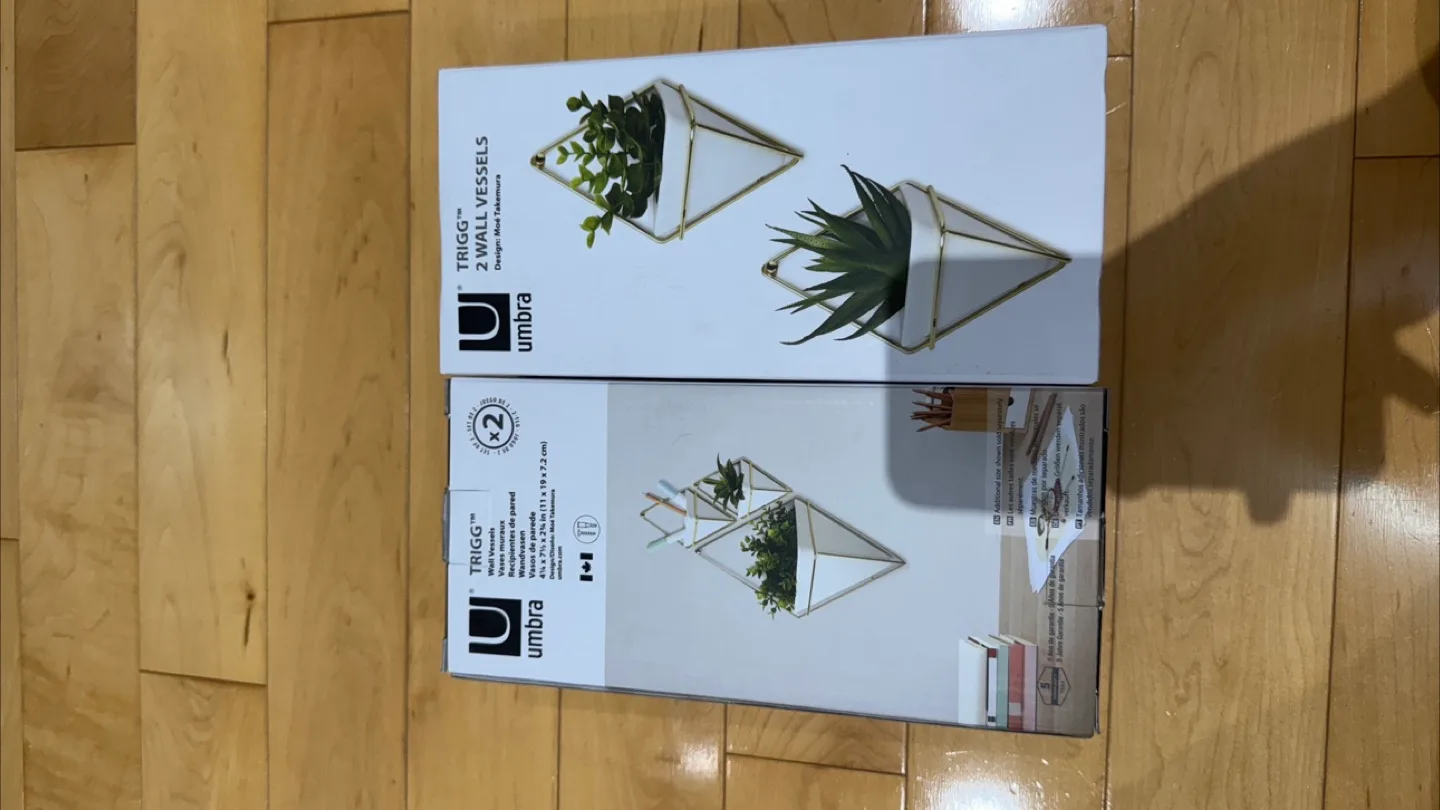 Umbra Trigg Wall Vessels (Set of 2 per box) image indicator(2)