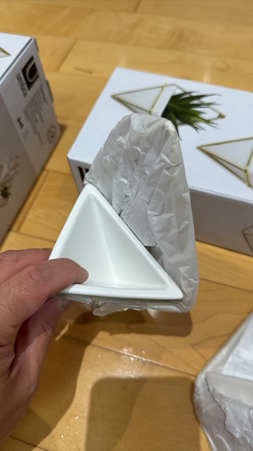 Umbra Trigg Wall Vessels (Set of 2 per box) image indicator(4)