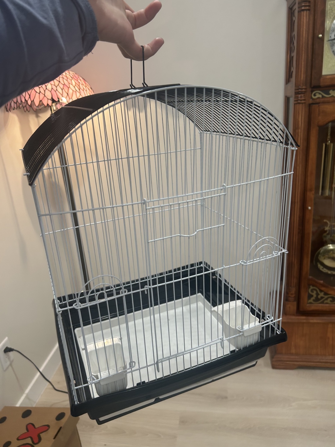 Bird Cage - Black and White - photo 3