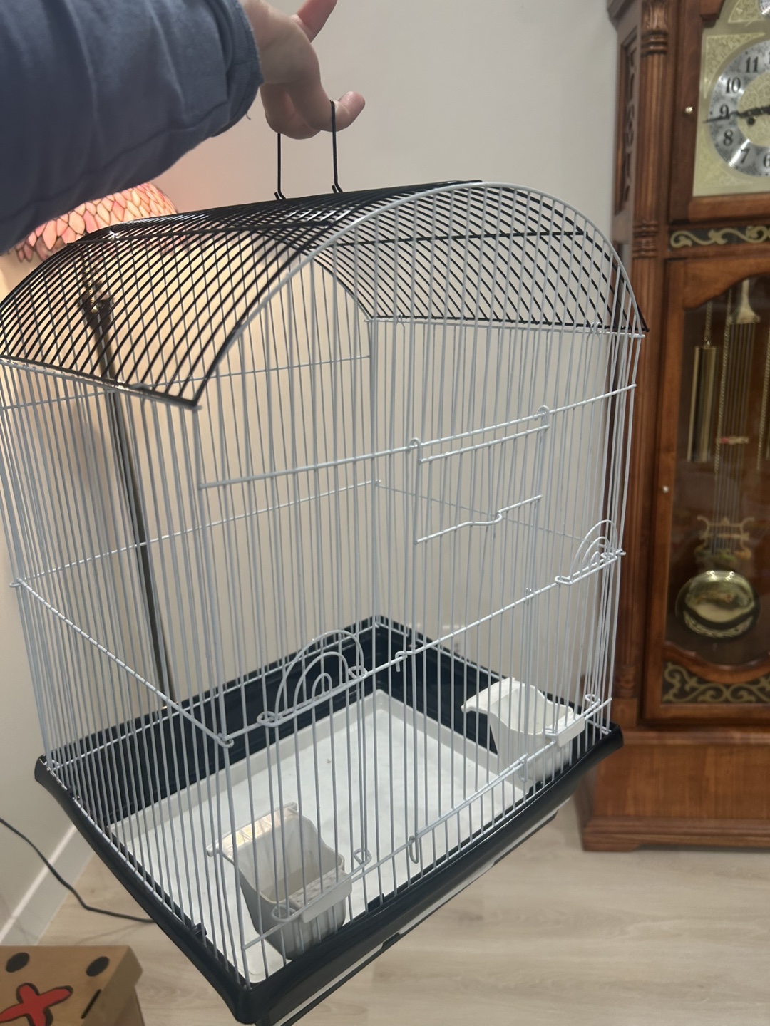Bird Cage - Black and White