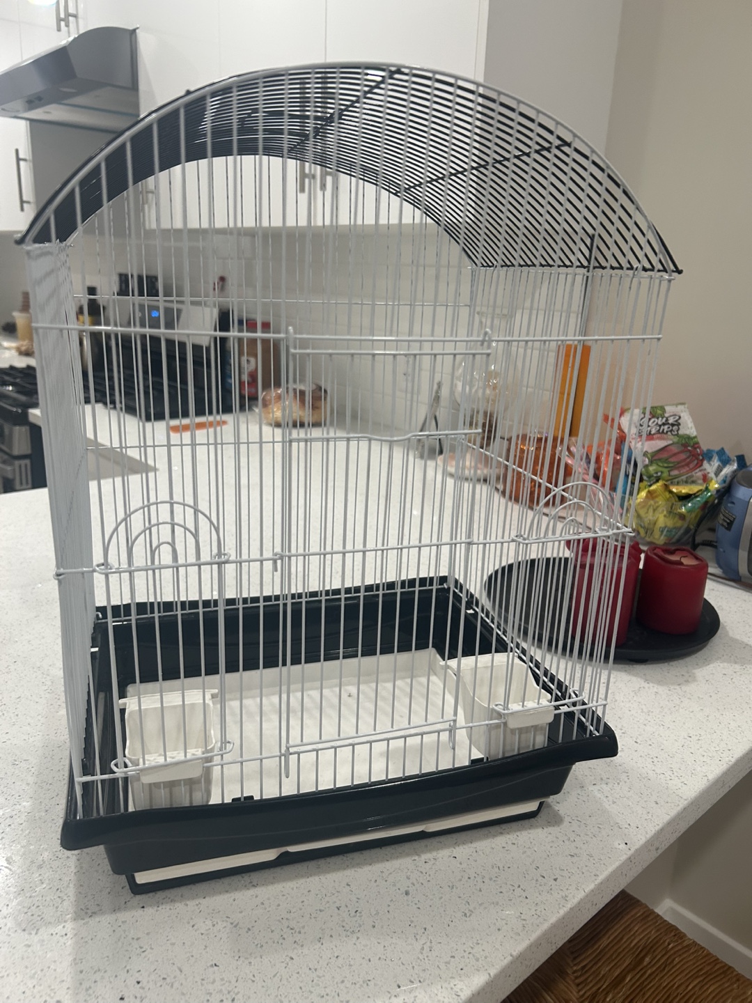 Bird Cage - Black and White - photo 2