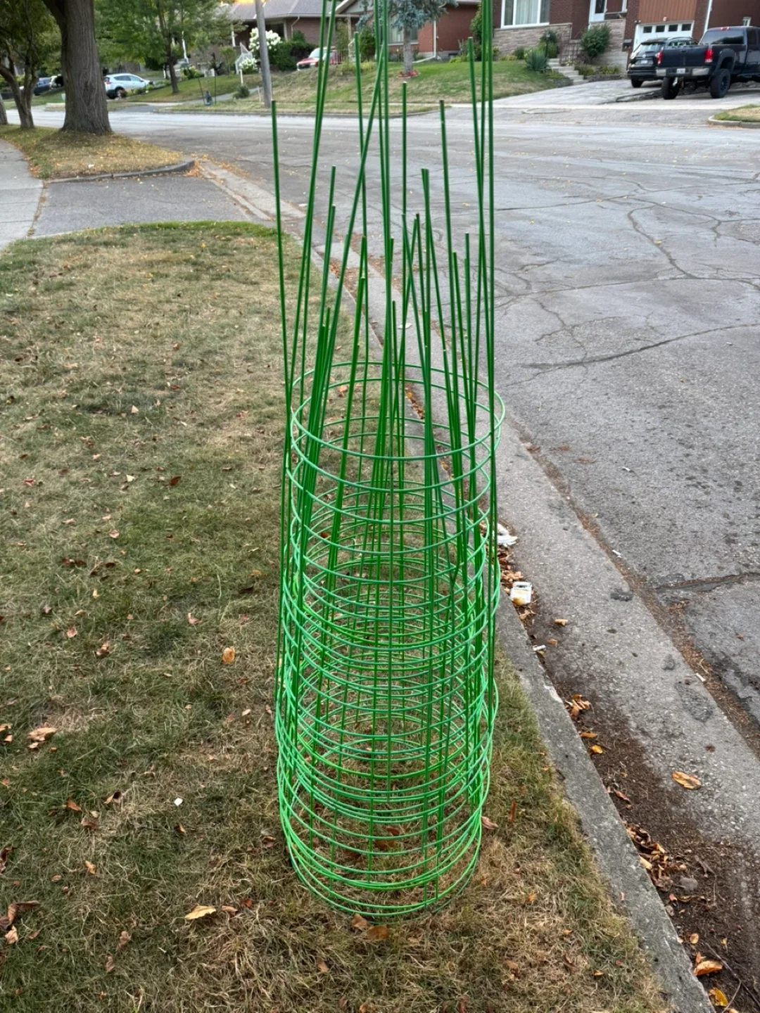 12 Tomato Cages - Green - Garden thumbnail