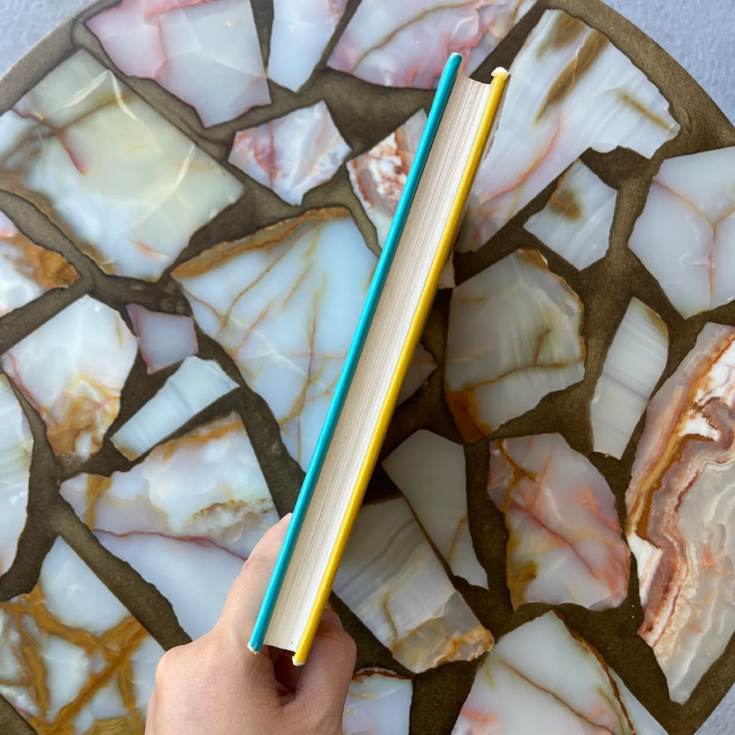 Stargirl by Jerry Spinelli - Back to School ✨ image indicator(4)