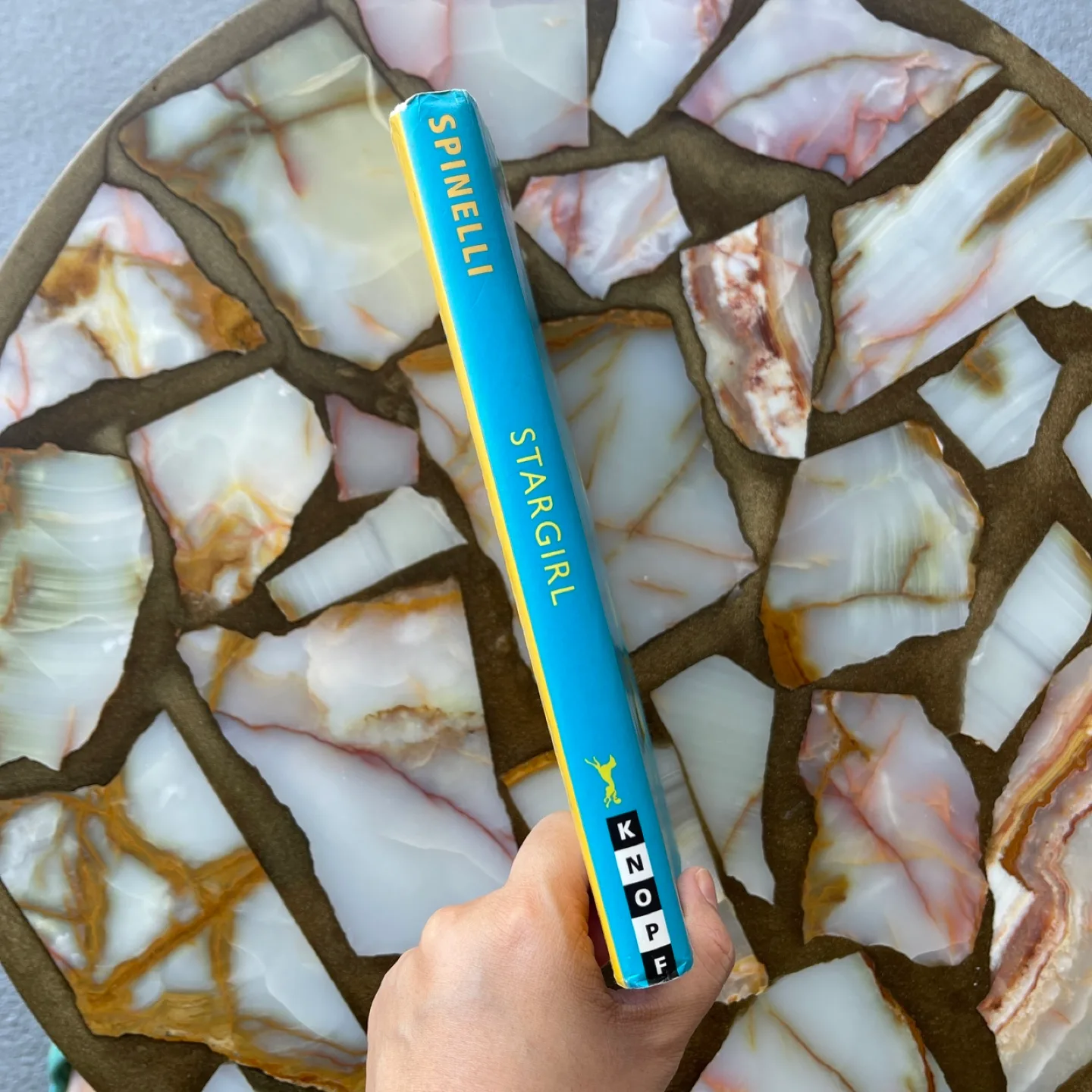 Stargirl by Jerry Spinelli - Back to School ✨ image indicator(3)