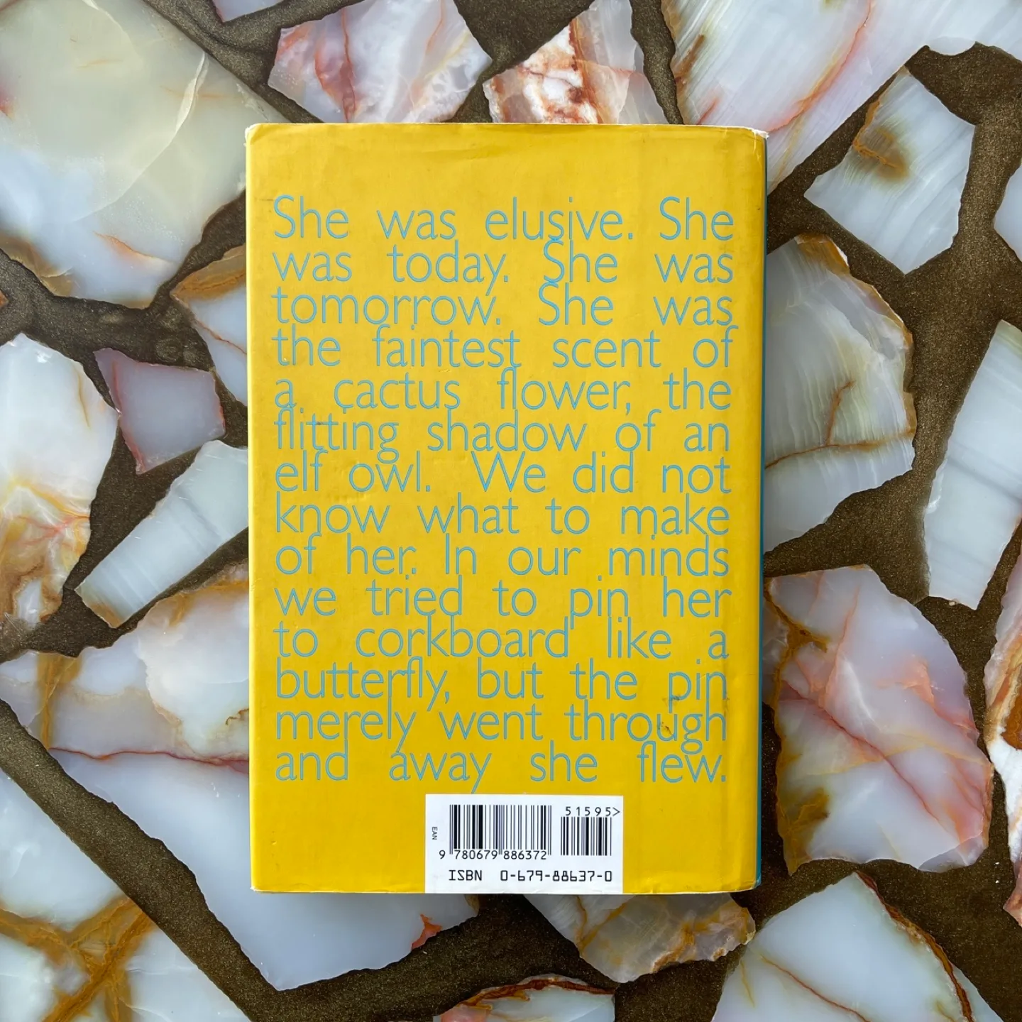 Stargirl by Jerry Spinelli - Back to School ✨ image indicator(2)