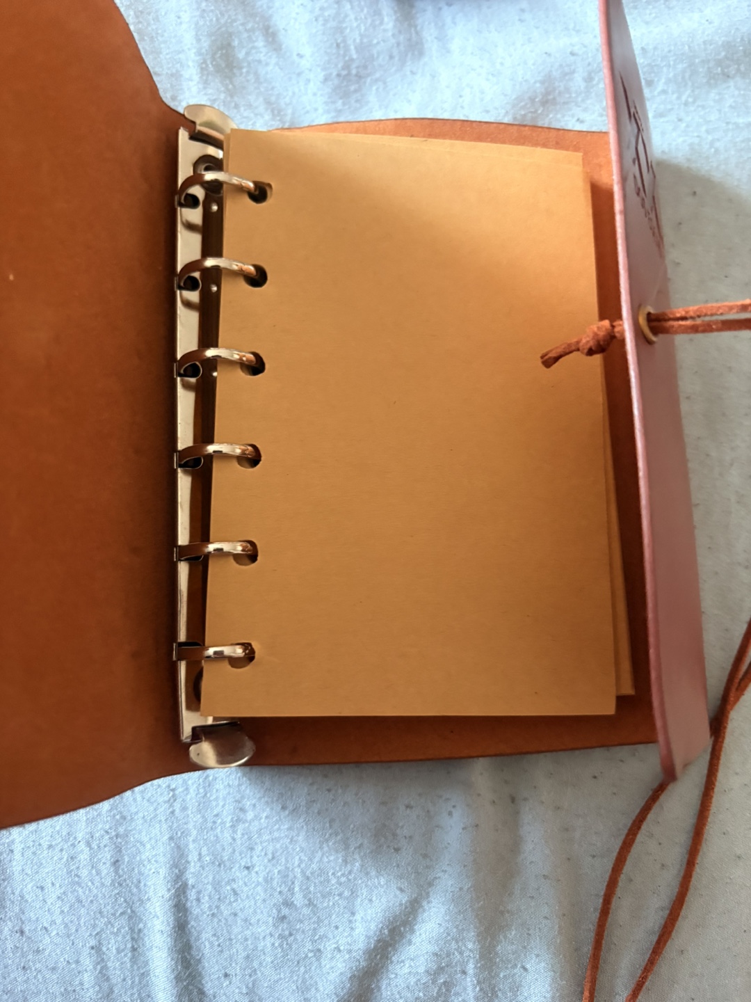 Dos Equis Leather Journal - photo 3