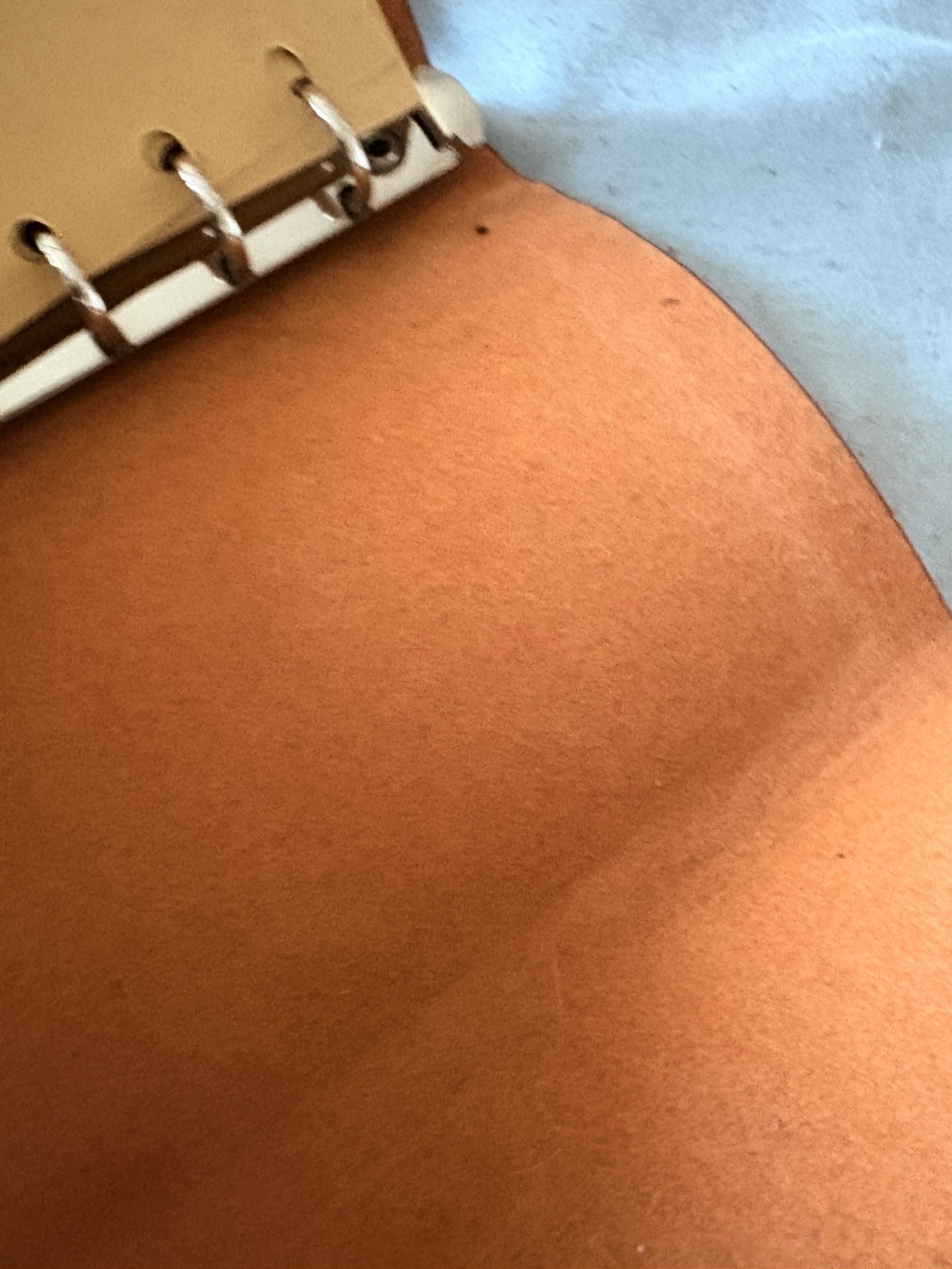 Dos Equis Leather Journal - photo 4