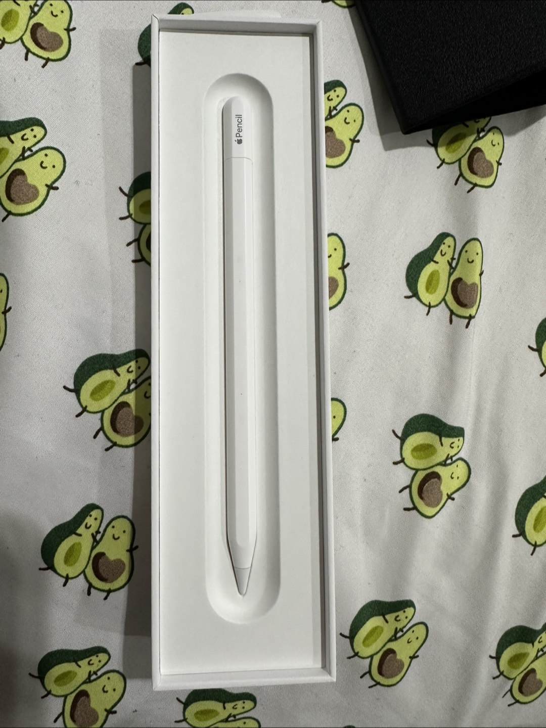 Apple Pencil (USB-C)