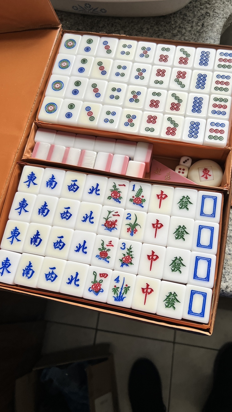 Mahjong Set in Carrying Case