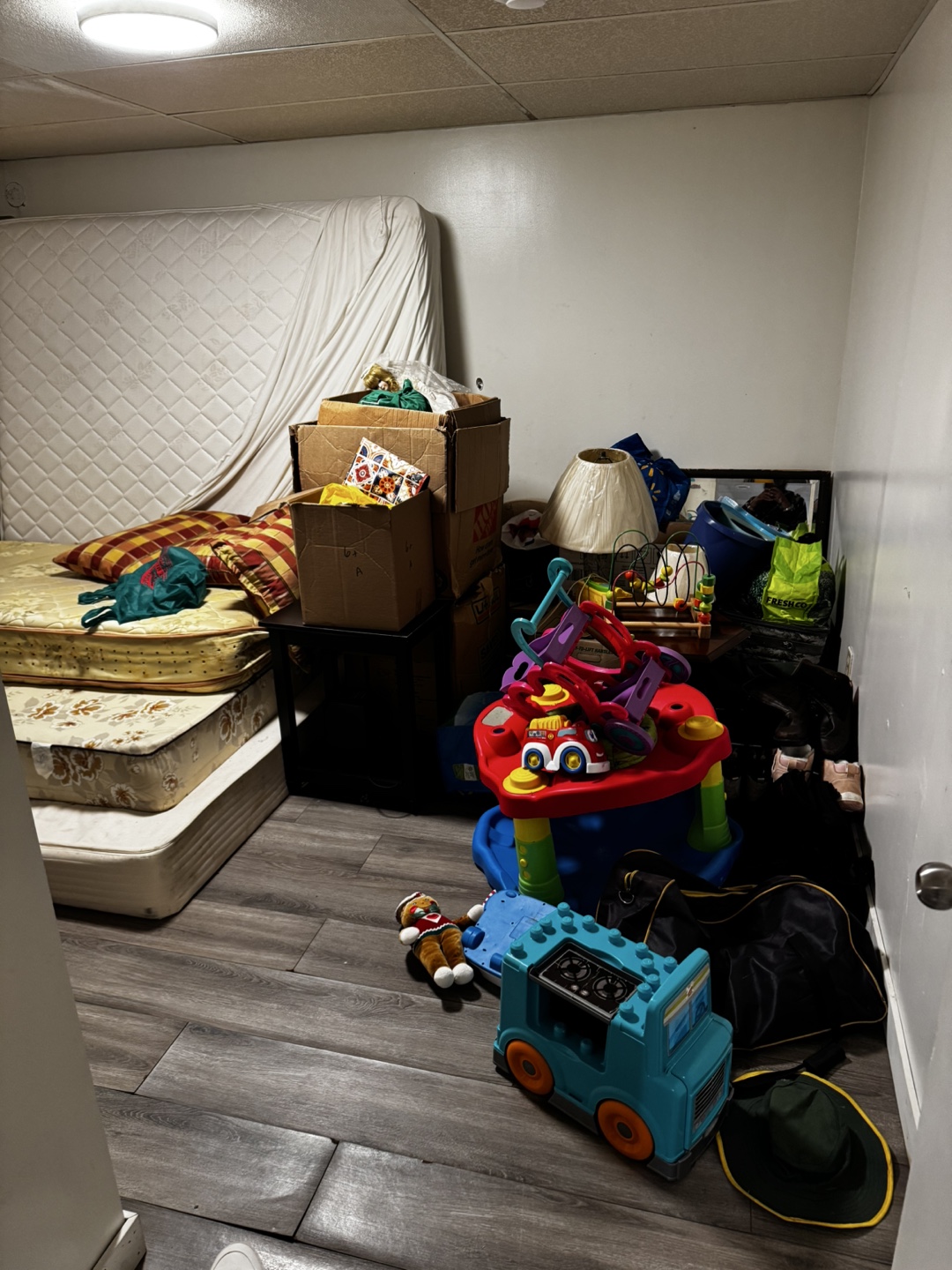 Looking For Punjabi Guy to share basement in Maple - photo 3