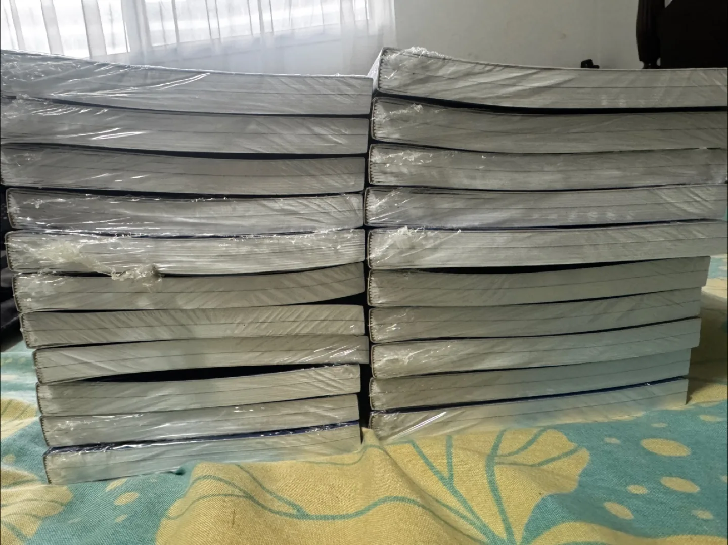 🥕New Blue Notebook