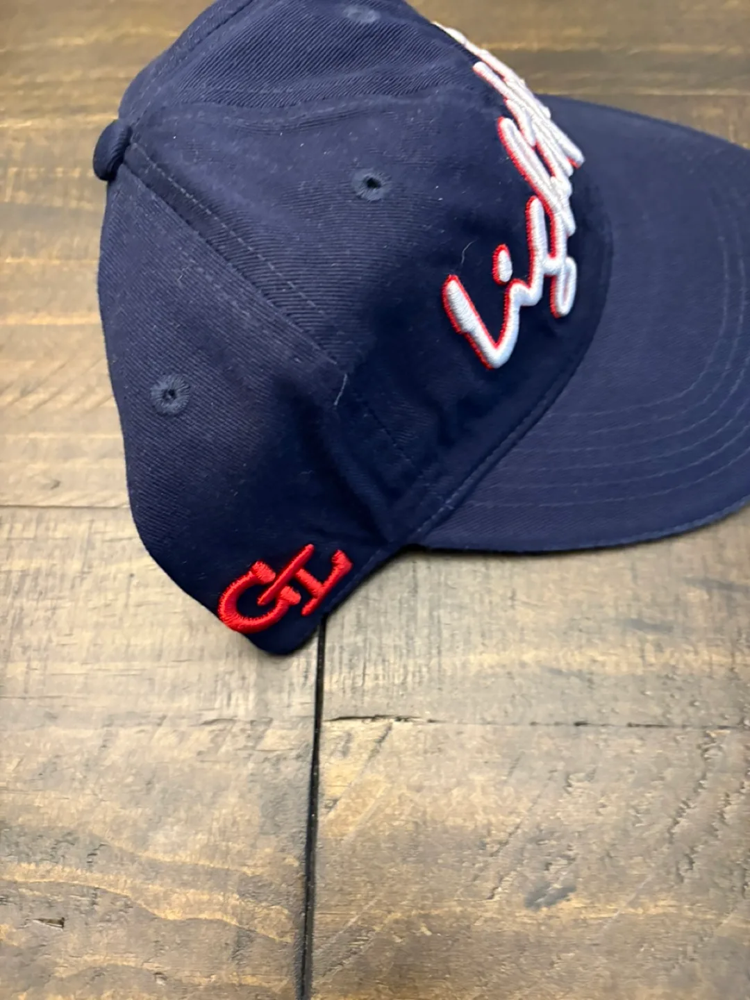 Rare Gordon Lightfoot concert merchandise hat new rare image indicator(2)