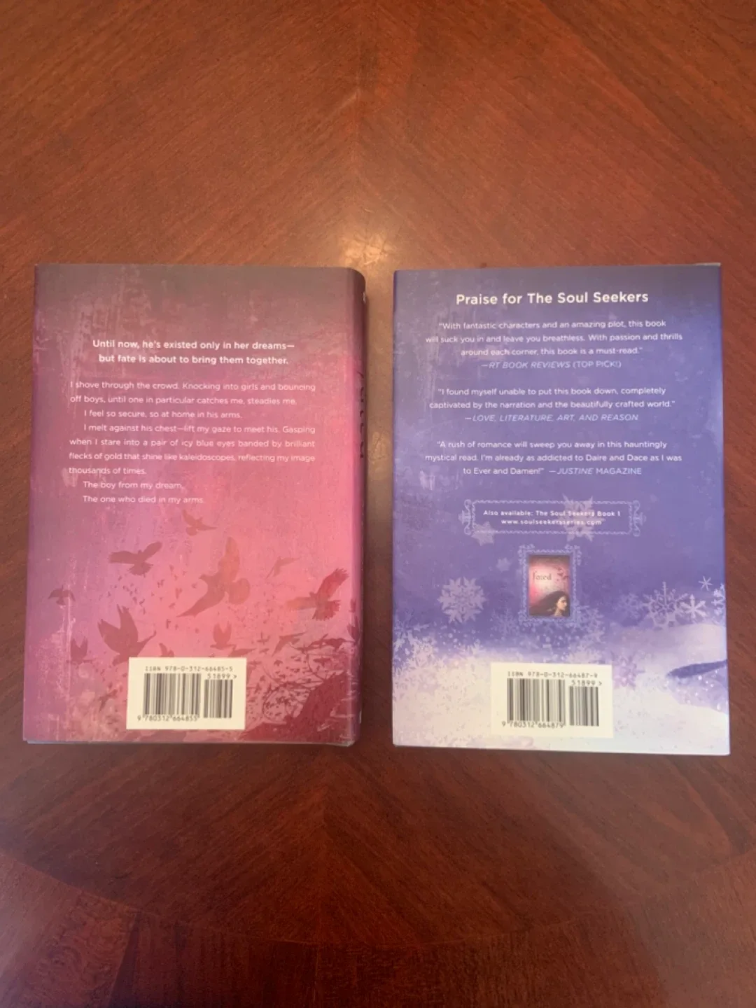 Alyson Noël's 'Echo' and 'Fated' Books image indicator(2)