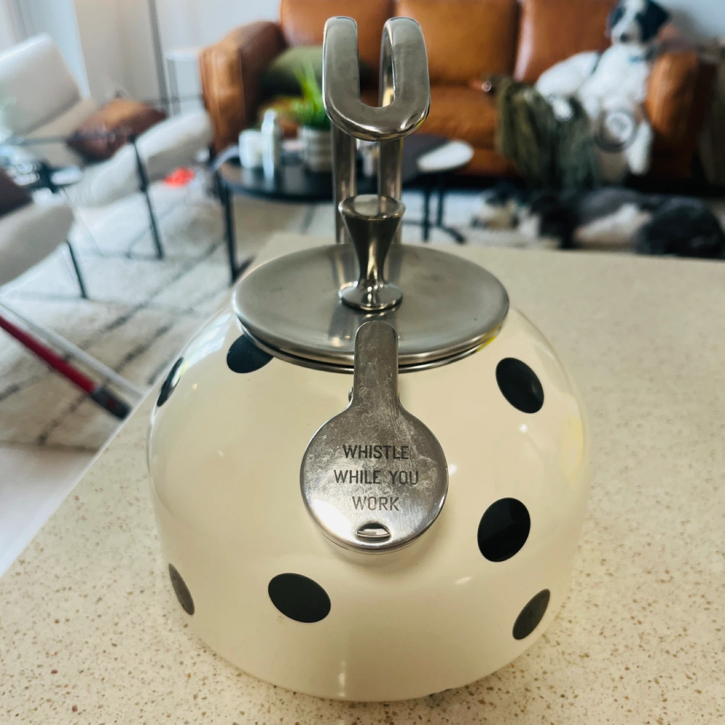 Kate Spade WhistlingTea Kettle