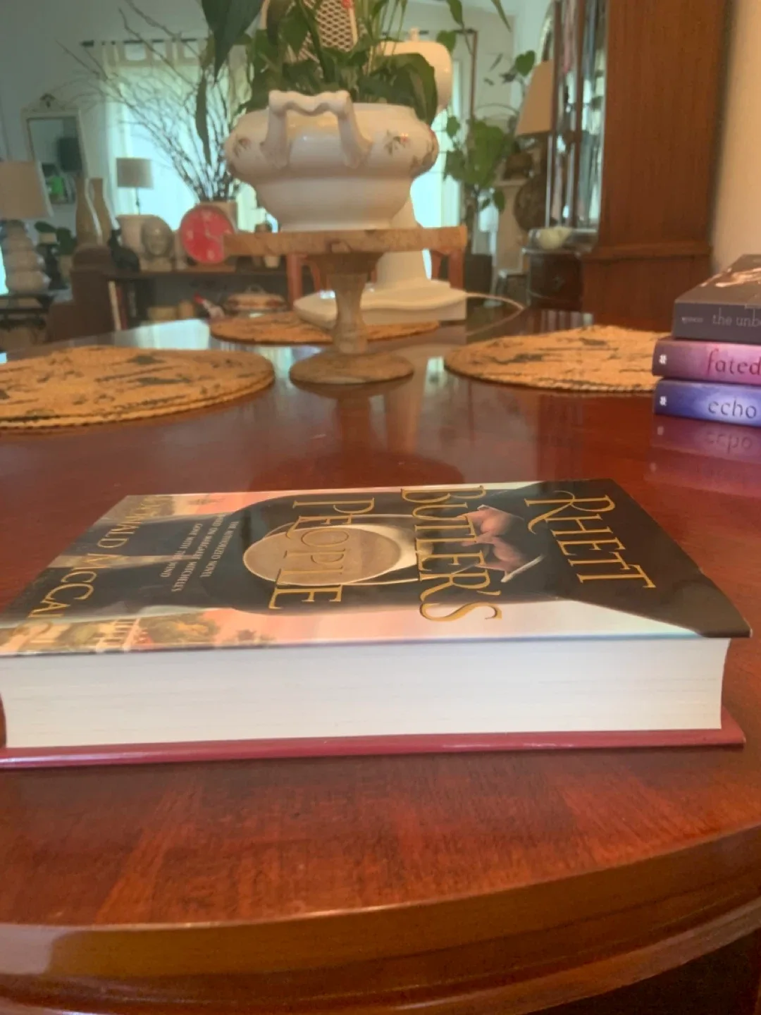 Rhett Butler's People by Donald McCaig image indicator(6)