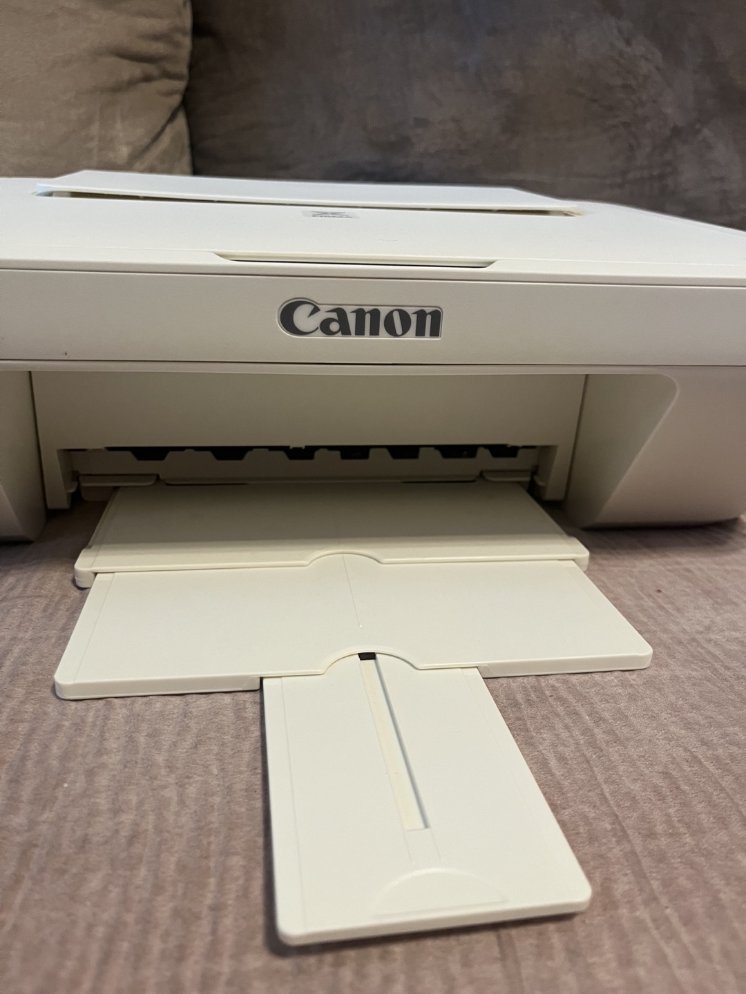 Canon PIXMA MG2950 All-in-One Printer
