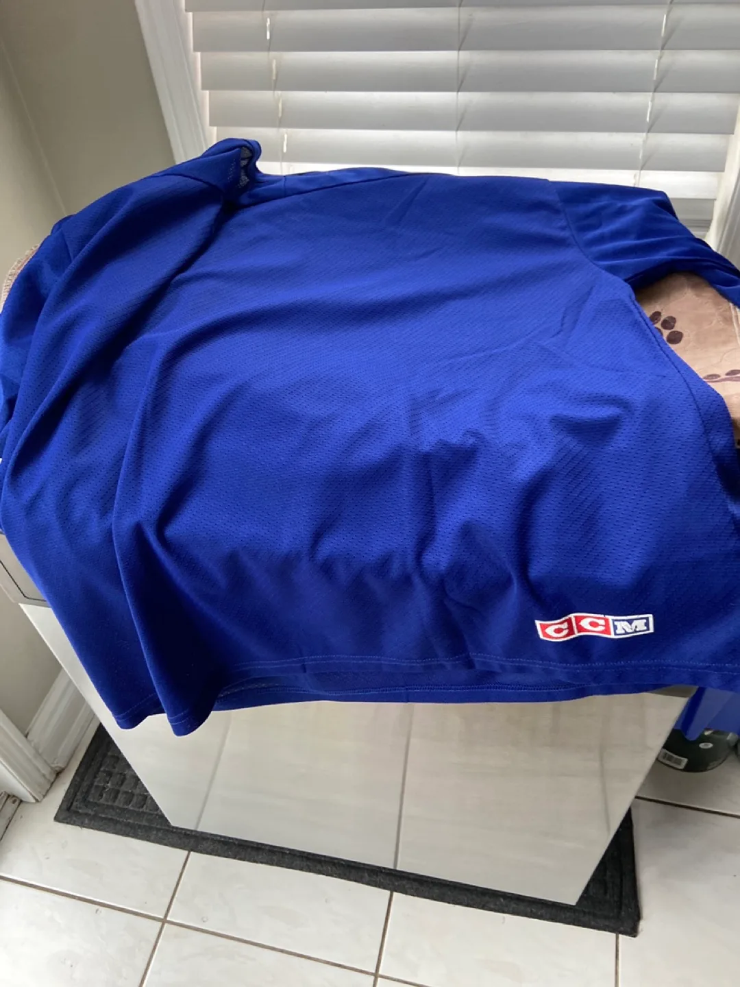 CCM Toronto Maple Leafs Jersey - Size L image indicator(3)