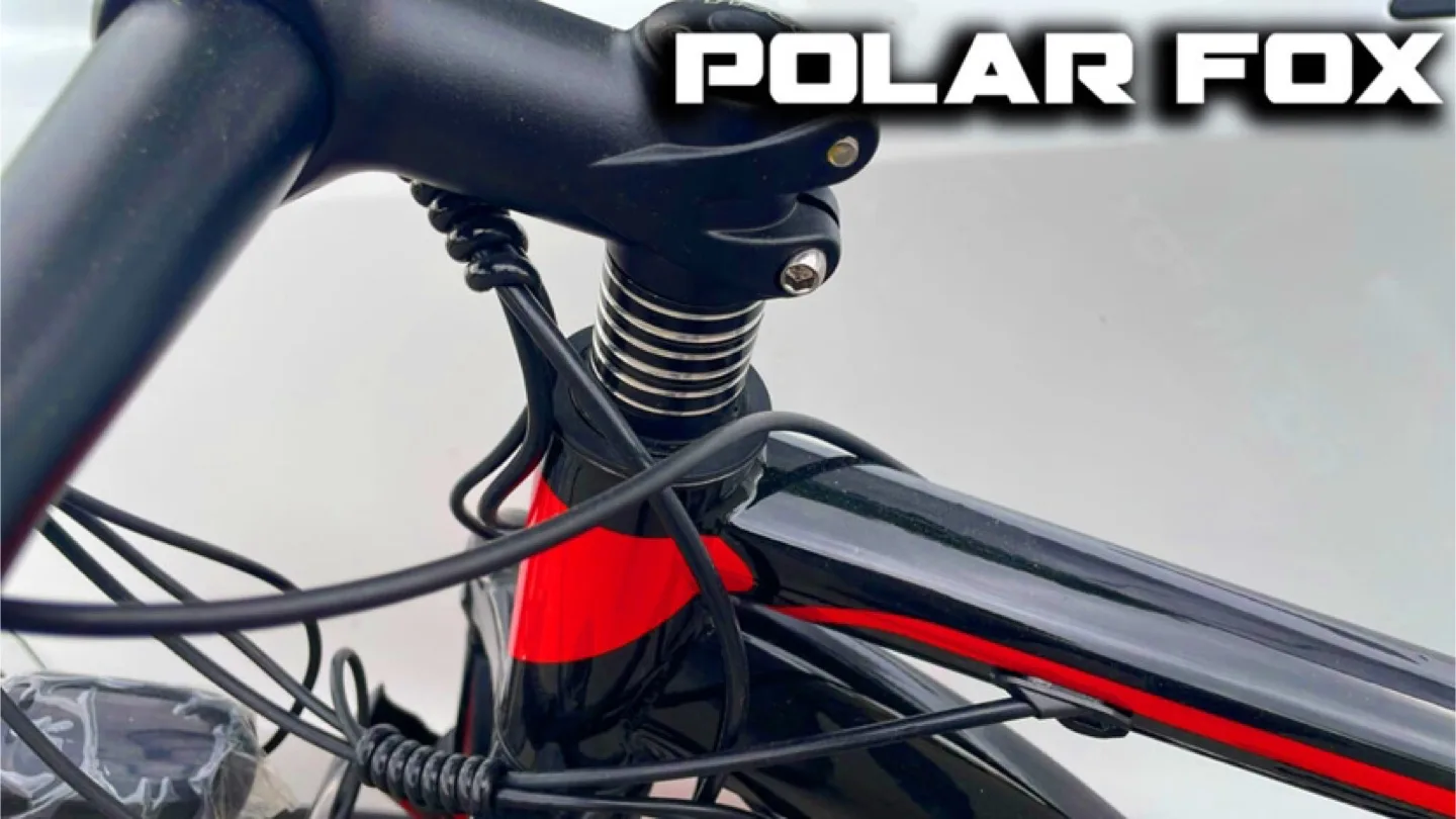 Brand new in box Polar Fox Electric Fat Tire Bike image indicator(5)