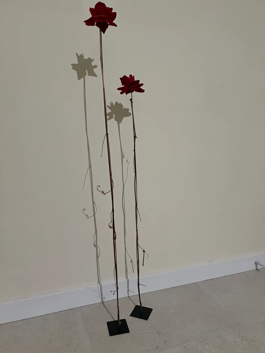 Long stem roses - decorative image indicator(3)