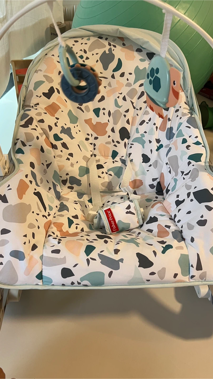 Fisher-Price Baby Bouncer (including einstein play mat)