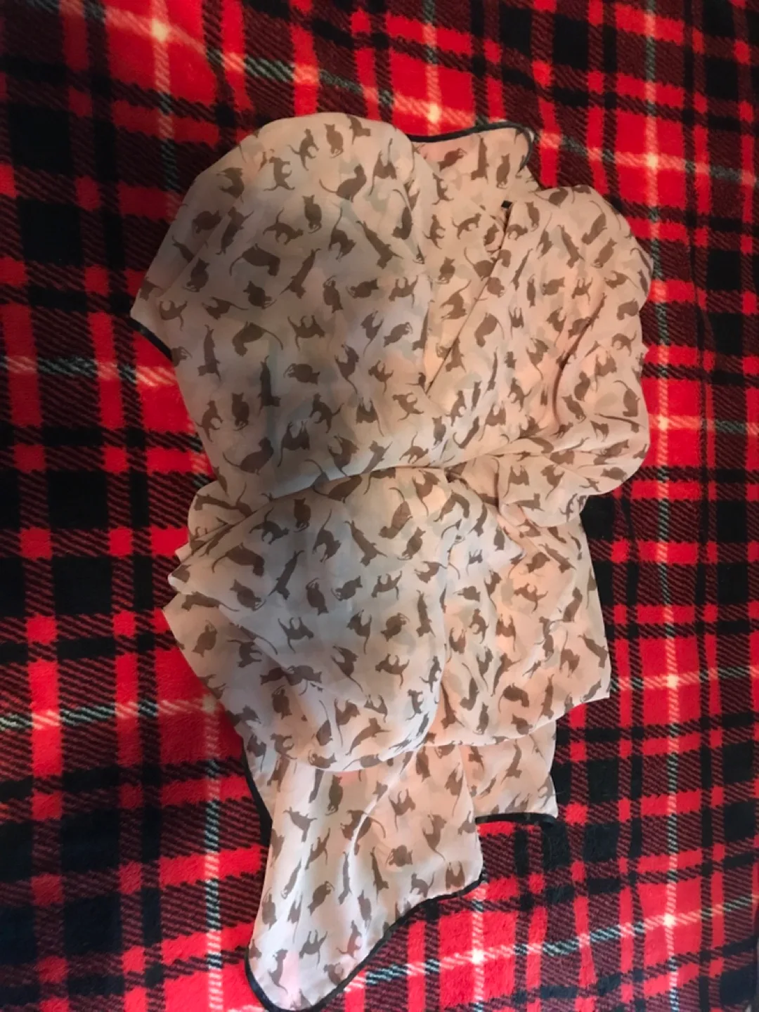 Cat Print Scarf - Beige & Brown thumbnail