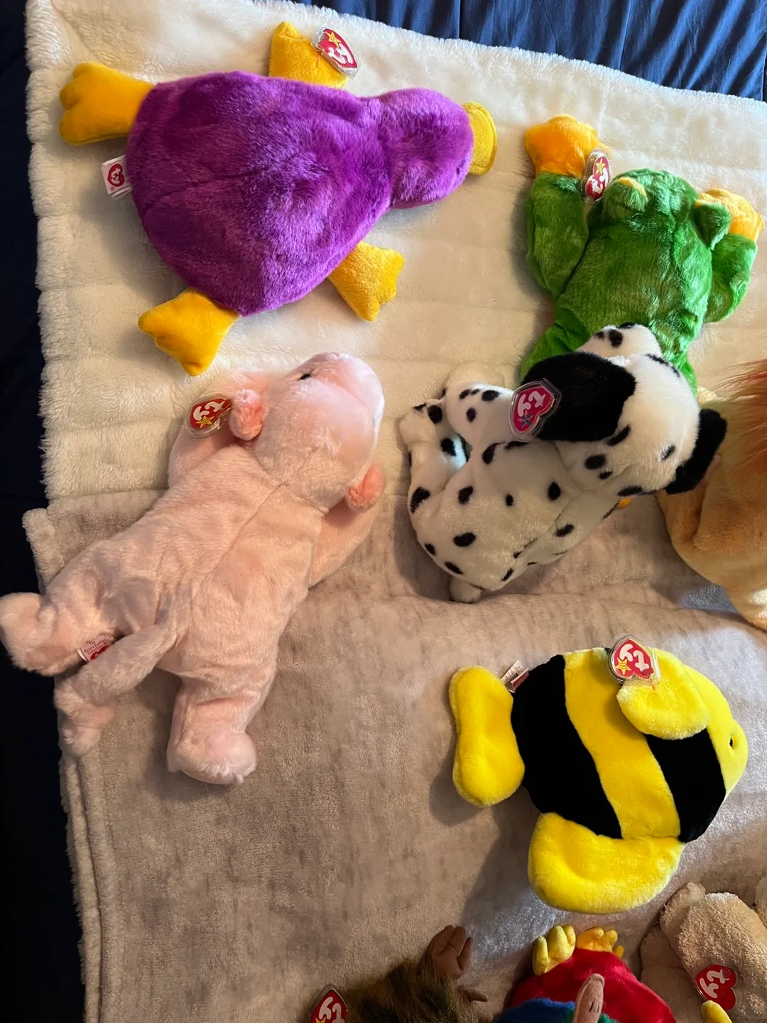 New- TY Beanie Buddies, Classics, Attic Treasures image indicator(8)