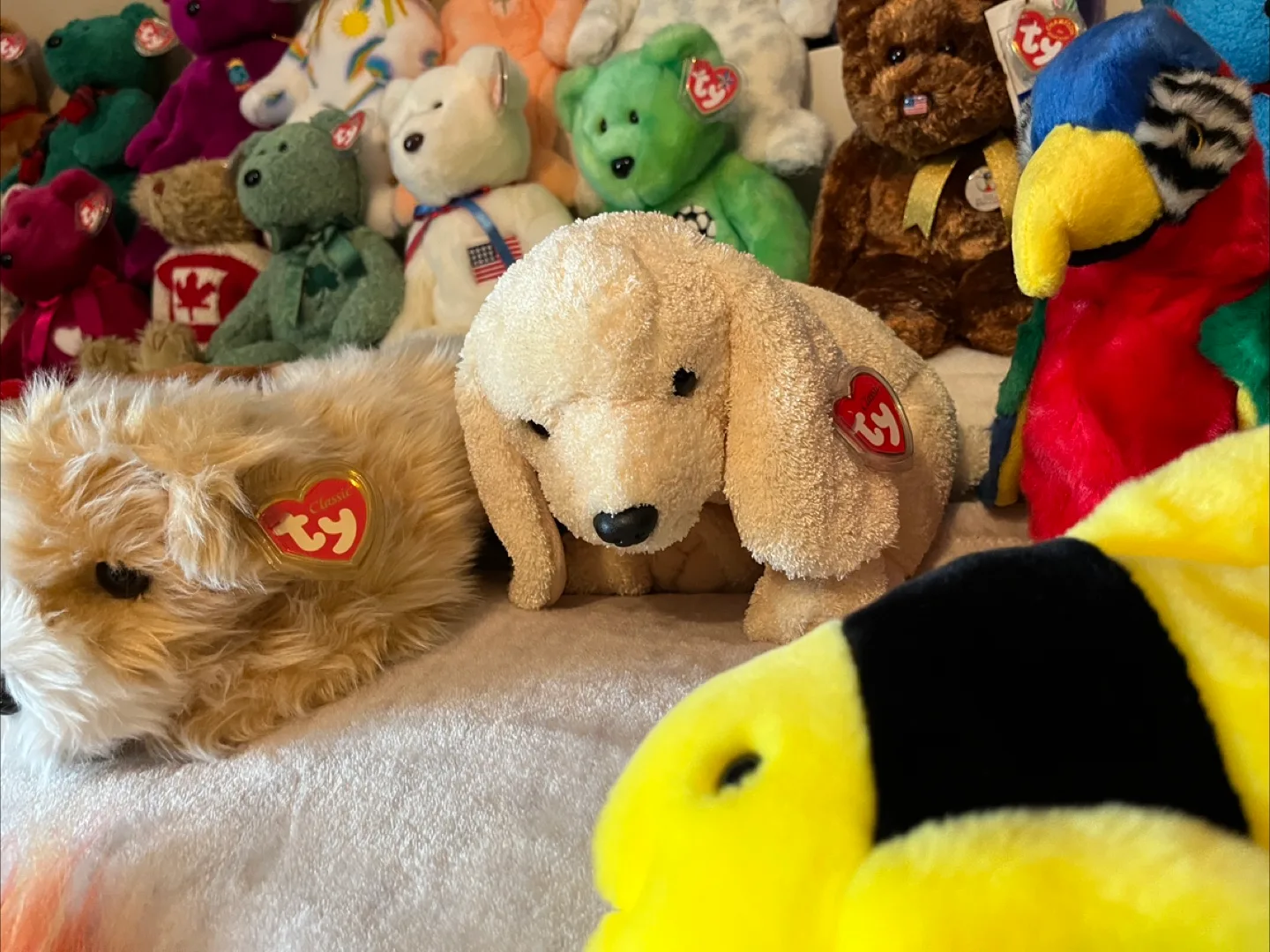 New- TY Beanie Buddies, Classics, Attic Treasures image indicator(9)