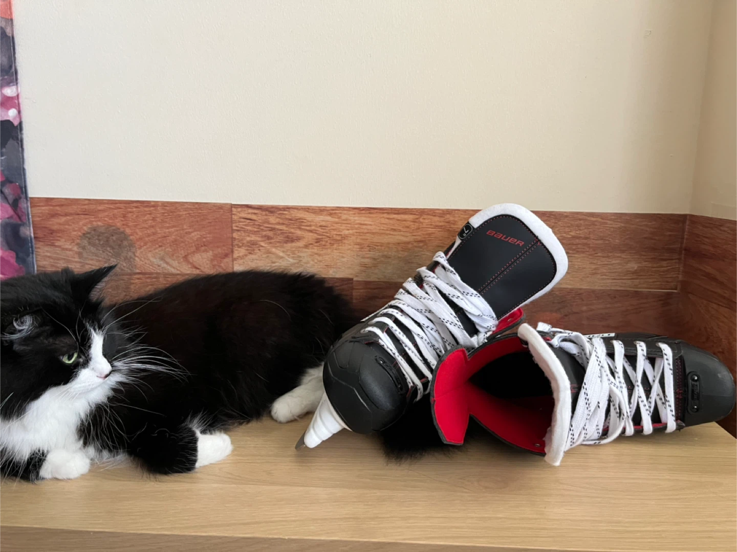 ❗️LIKE NEW ‼️Bauer Vapor X250 Ice Skates - Size 7 - photo 3