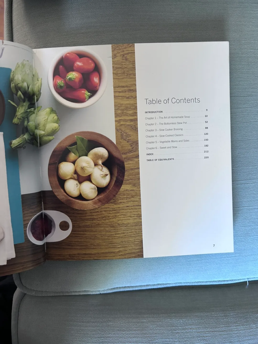 Art of the Slow Cooker Cookbook by Andrew Schloss image indicator(4)