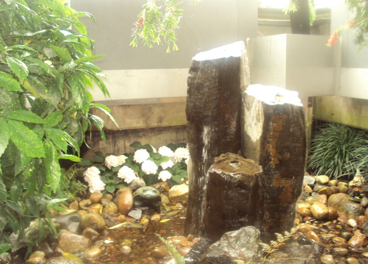 Sony cybershot DSC-S930 - photo 5