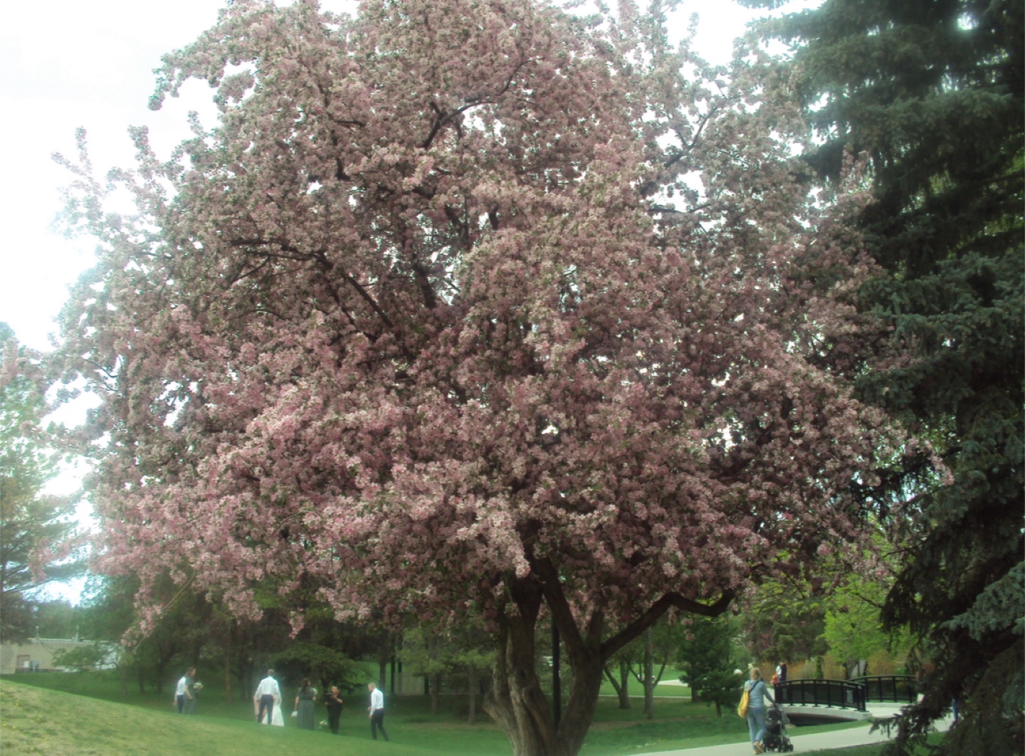 Sony cybershot DSC-S930 - photo 4