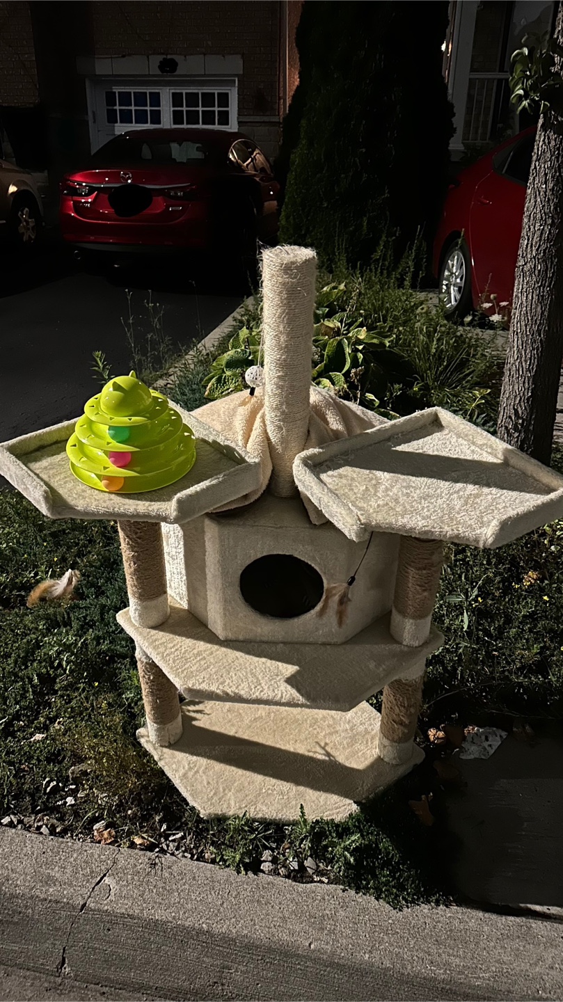 Cat tree scratching post + cat toys - photo 2