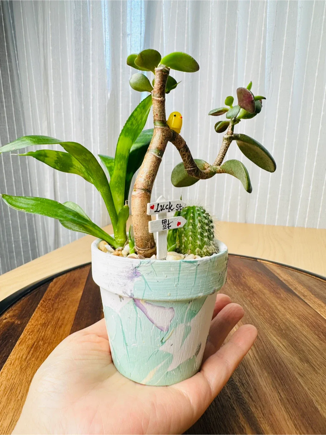 Hand made unique Pot& low maintenance plants image indicator(4)