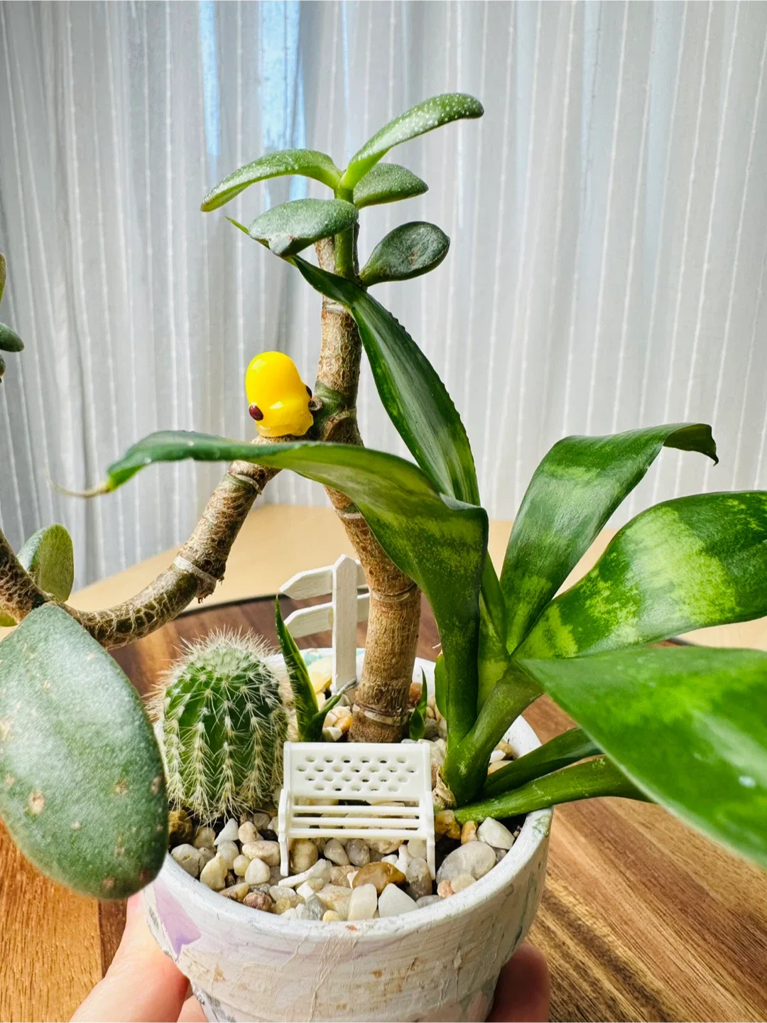 Hand made unique Pot& low maintenance plants image indicator(3)